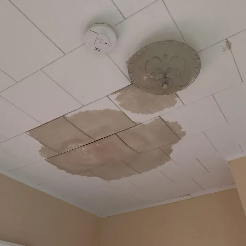 Ceiling Water Damage Repair in Winchester, TN