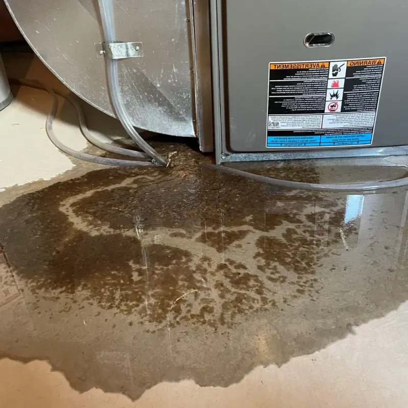 Pipe Burst and Leak Restoration in Winchester, TN