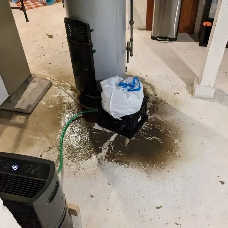 Sewage Backup Cleanup Service in Winchester, TN